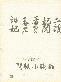 神王毒妃二嫁王妃免费阅读全文