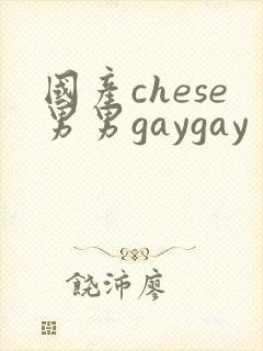 国产chese男男gaygay