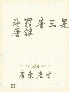 斗罗唐三是我哥唐银