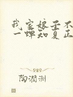 我家娘子不对劲一蝉知夏正版封面