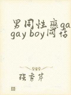 男同性恋gaygay boy网站封面