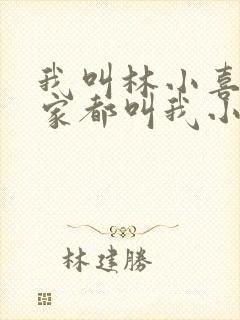 我叫林小喜 大家都叫我小喜小说