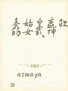 秦始皇嬴政终末的女武神封面