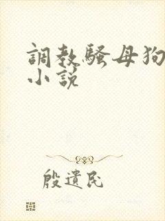 调教骚母狗高h小说封面