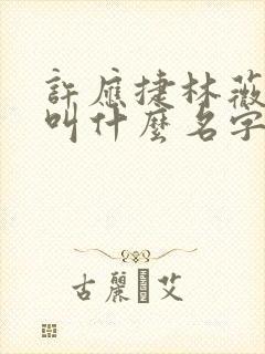 许应捷林薇短剧叫什么名字