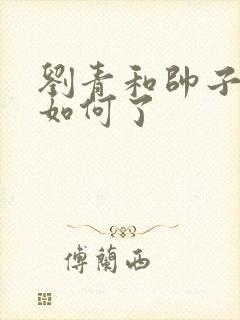 刘青和帅子结局如何了