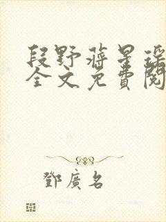 段野蒋星瑶小说全文免费阅读封面