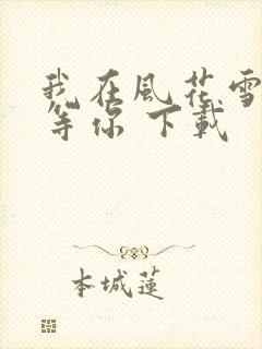我在风花雪月里等你 下载