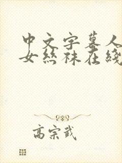 中文字幕人妻熟女丝袜在线视频封面