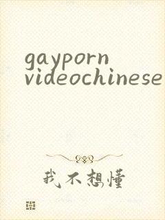 gaypornvideochinese