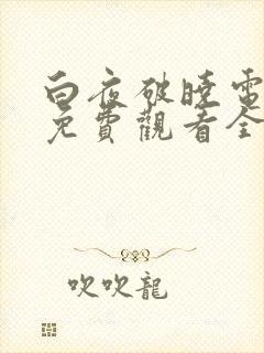 白夜破晓电视剧免费观看全集在线