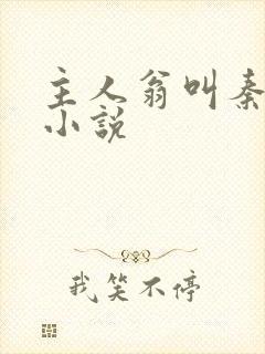 主人翁叫秦峰的小说