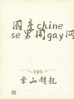 国产chinese男同gay网站封面