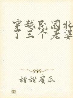 穿越民国北平娶了三个老婆的小说