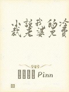 小说我的冷艳总裁老婆免费阅读