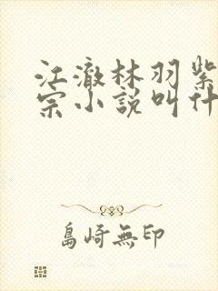 江澈林羽紫霄剑宗小说叫什么