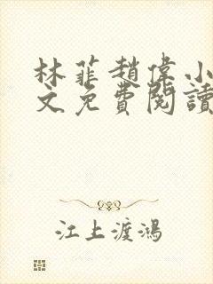 林菲赵伟小说全文免费阅读