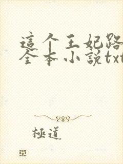 这个王妃路子野全本小说txt下载