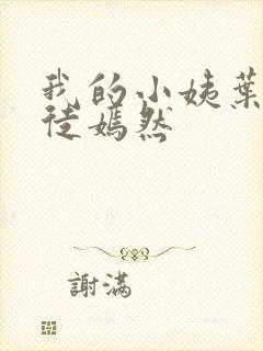 我的小姨叶凡司徒嫣然封面