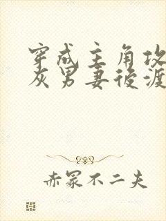 穿成主角攻的炮灰男妻后渡海棠封面