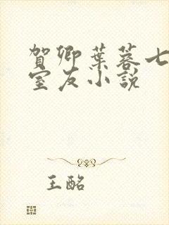 贺卿叶蓉七合租室友小说