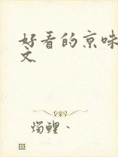 好看的京味高干文