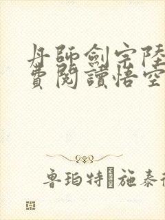 丹师剑宗陆尘免费阅读悟空网封面