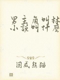 男主角叫林寒的小说叫什么名字