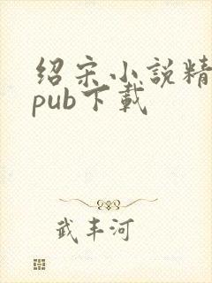 绍宋小说精校epub下载