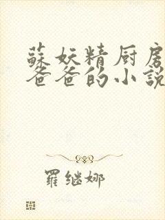 苏妖精厨房爹爹爸爸的小说