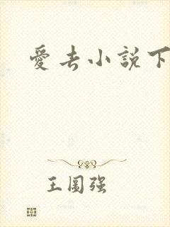 爱去小说下载网