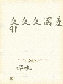 久久久国产精品91