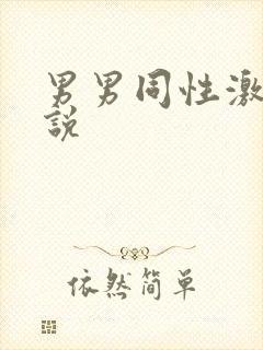 男男同性激情小说