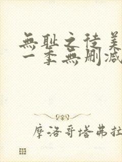 无耻之徒美版第一季无删减版