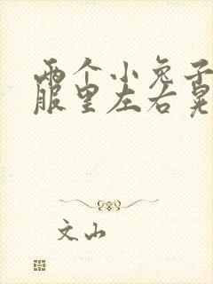 两个小兔子在衣服里左右晃封面