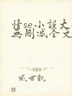 情se小说大全无删减全文阅读