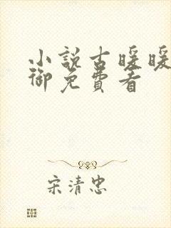 小说古暖暖江尘御免费看