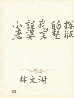 小说我的总裁大老婆完整版封面