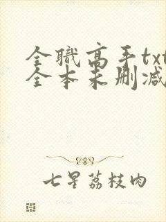 全职高手txt全本未删减下载