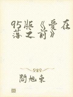 95版《爱在日落之前》封面