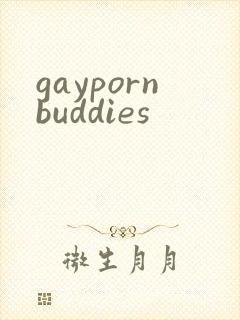 gaypornbuddies
