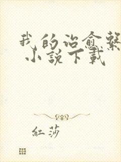 我的治愈系游戏 小说下载