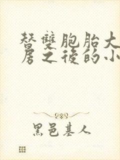 替双胞胎大哥圆房之后的小说