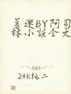 着迷BY阿司匹林小说全文免费阅读