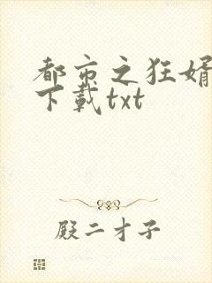 都市之狂婿战神下载txt