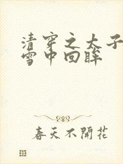 清穿之太子娇妃雪中回眸封面