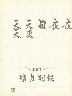 天天日夜夜操天天爽