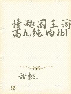 情趣国王游戏(高h,纯肉)bl