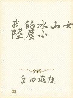我的冰山女总裁陆尘小