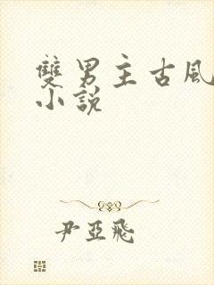 双男主古风言情小说